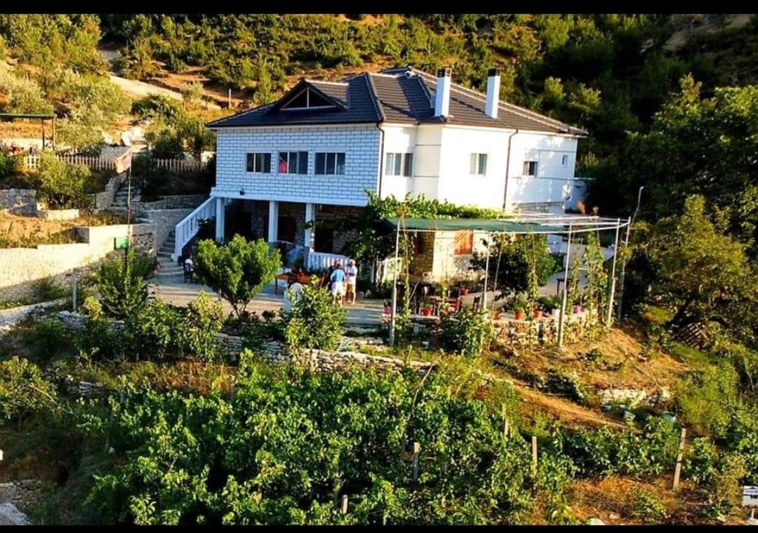 Villa Goliku