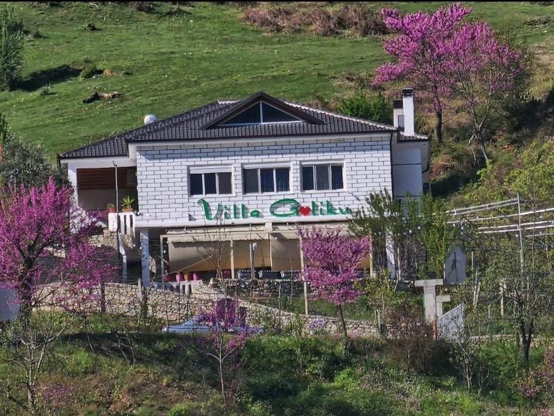 Villa Goliku *